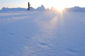 We found the footprints of an Arctic fox. Speaking strictly form a foxy viewpoint, it must be difficult to find a partner in these climbs.